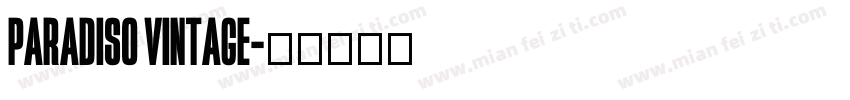 Paradiso Vintage字体转换